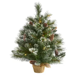 2' Frosted Pine Artificial Christmas Tree w/ 35 Clear LED Lights