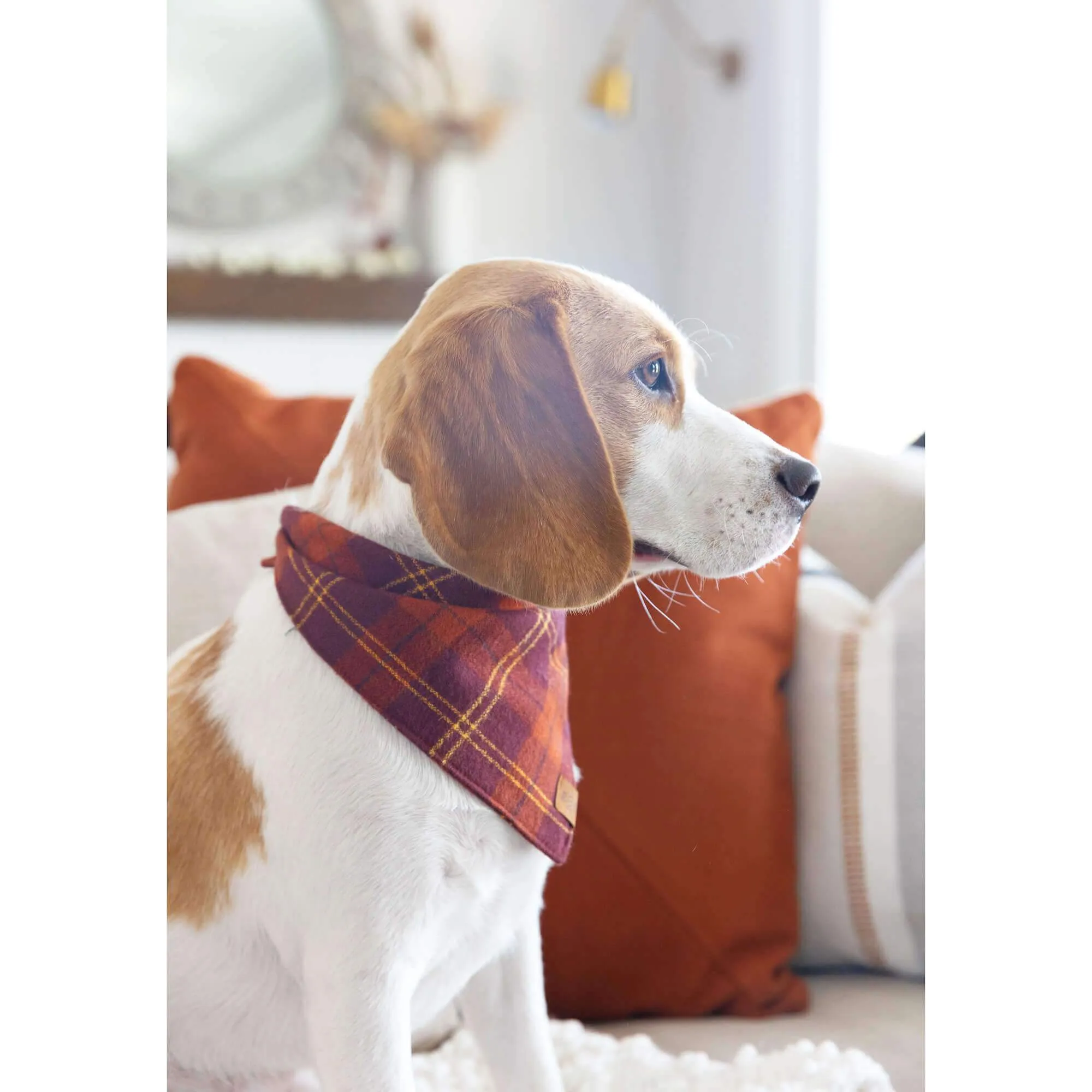 Cider Plaid Flannel Dog Bandana