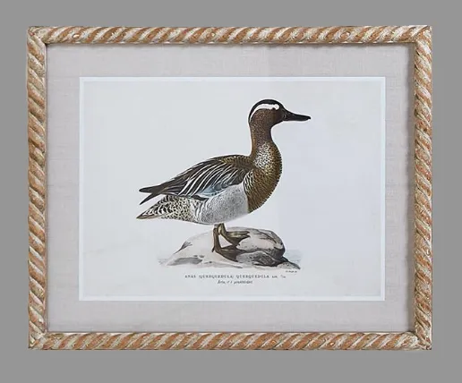 Duck Print Wall Art 16 x 20