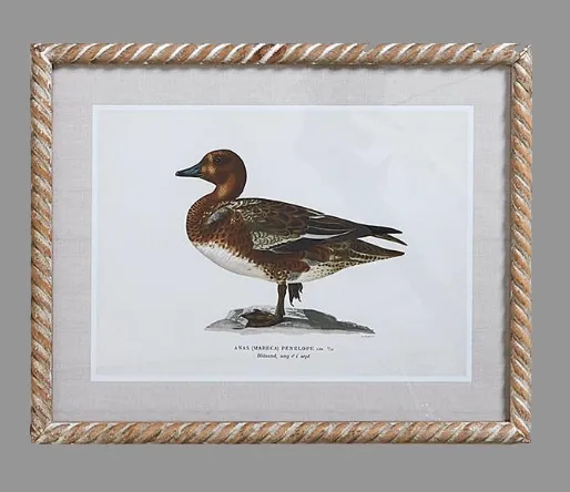 Duck Print Wall Art 16 x 20