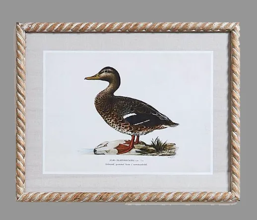 Duck Print Wall Art 16 x 20