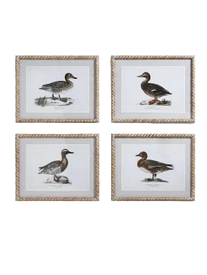 Duck Print Wall Art 16 x 20