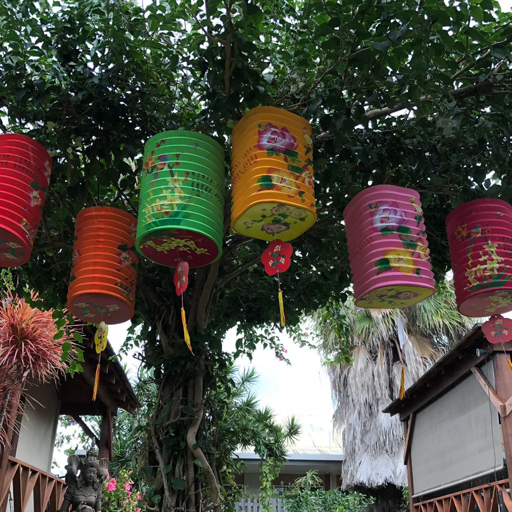 Massive Oriental Design Printed 6 Pack mixed corrugated paper lanterns