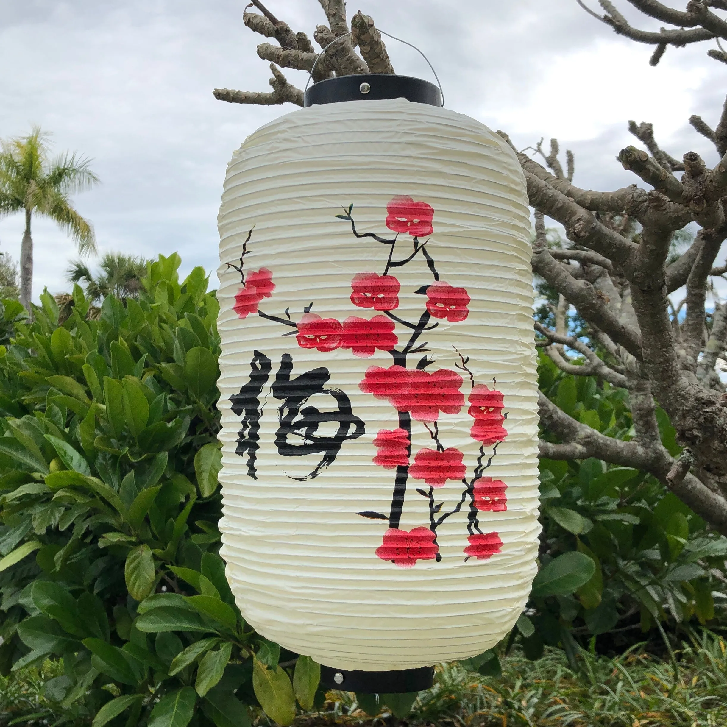 Plum Blossom Lantern (24cm x 50cm) Vinyl