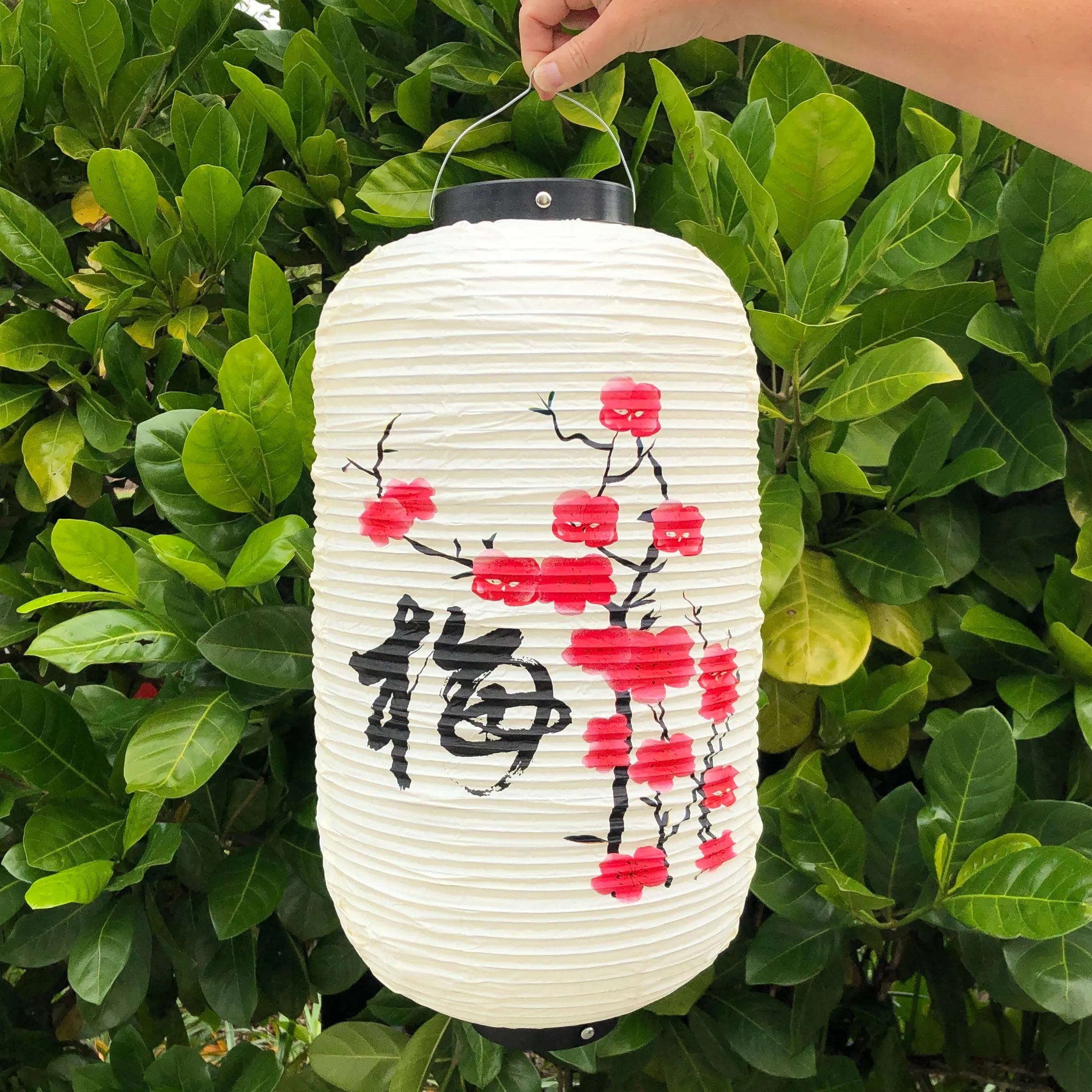 Plum Blossom Lantern (24cm x 50cm) Vinyl