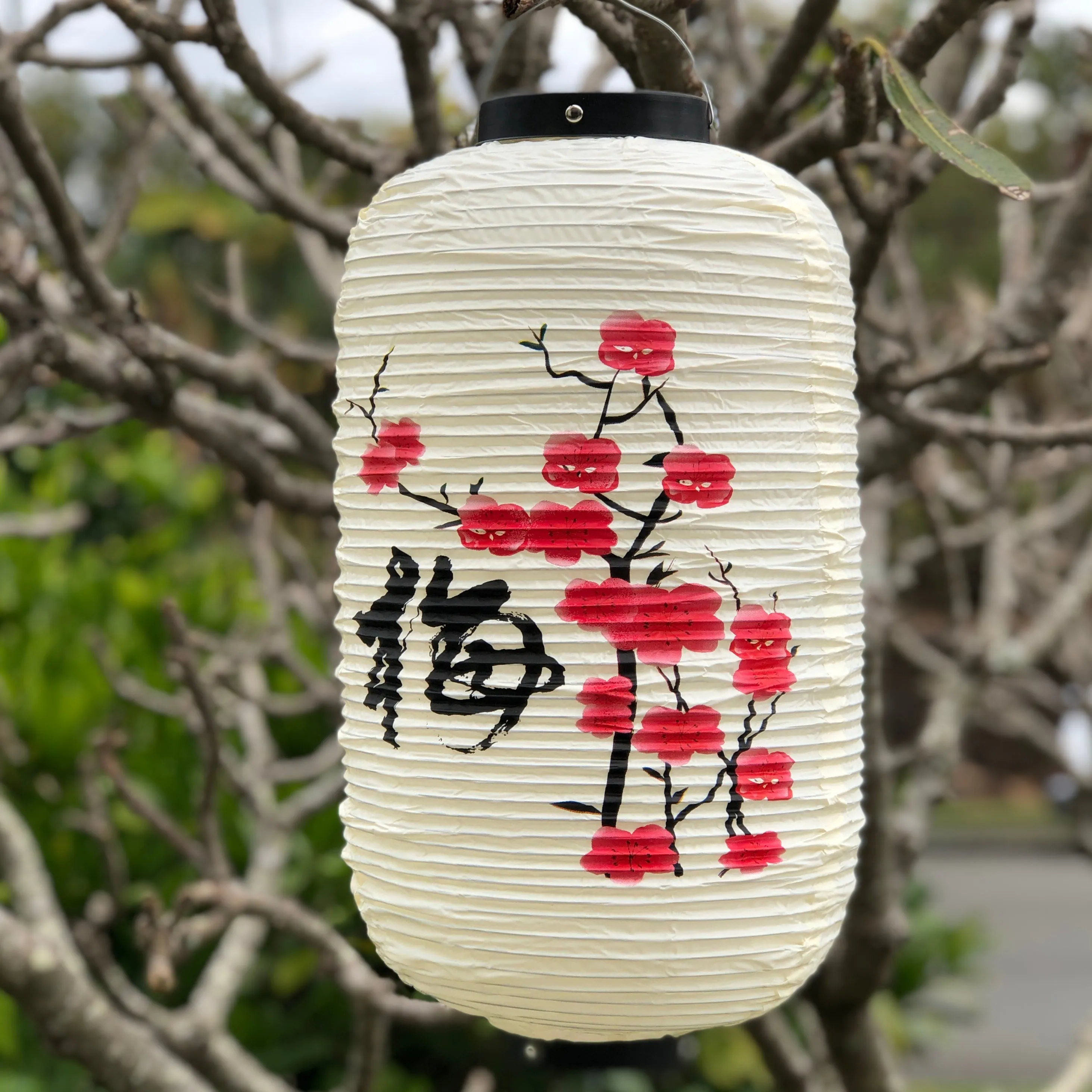 Plum Blossom Lantern (24cm x 50cm) Vinyl