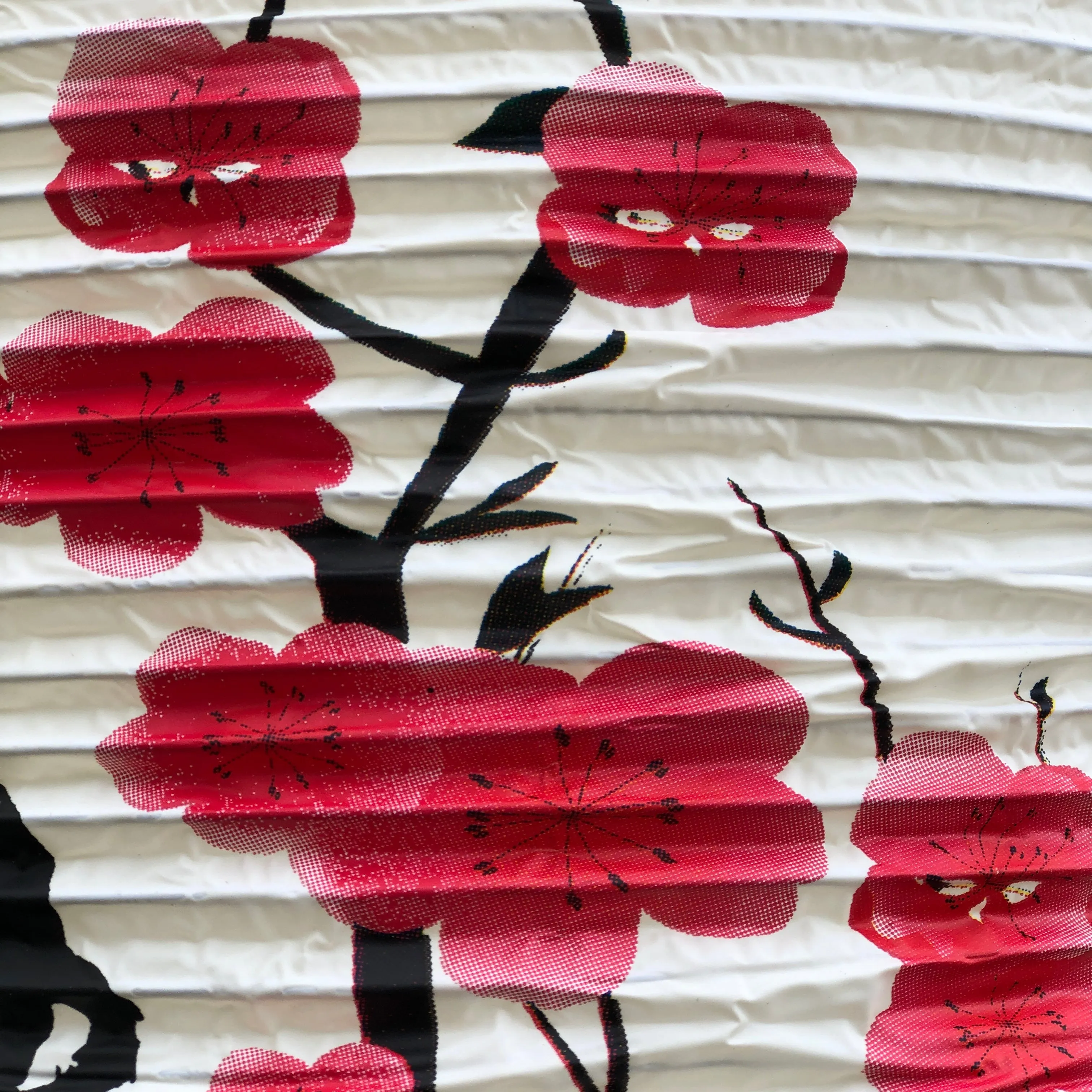 Plum Blossom Lantern (24cm x 50cm) Vinyl