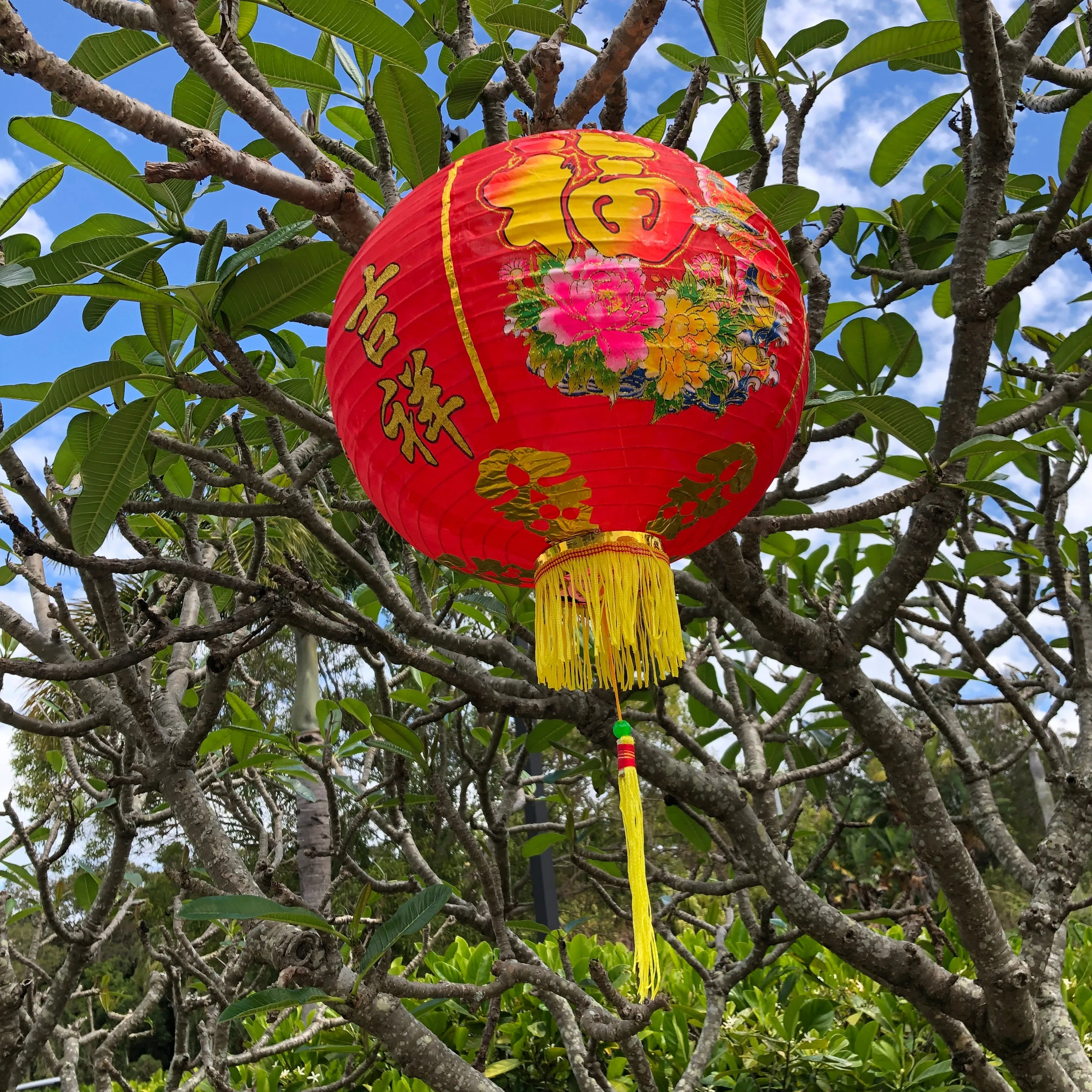 Printed Chinese Lanterns (35cm) - 2 pack nylon