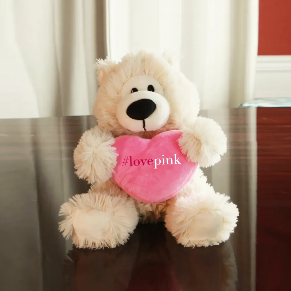 Sophie 12" Bear with Pink Custom Heart